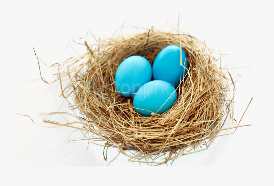 Bird-nest - Bird Nest Transparent Background, Transparent Clipart