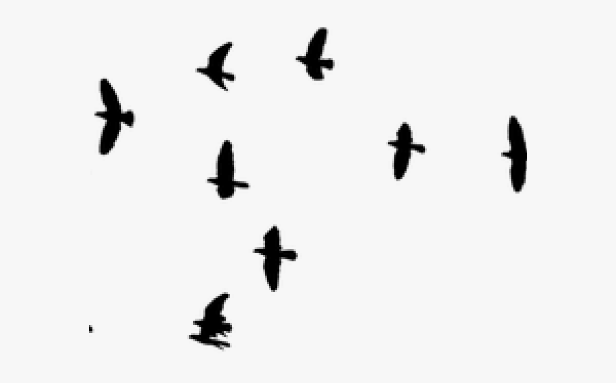Birds Nest Clipart Silhouette Bird - Cartoon Birds Flying Transparent, Transparent Clipart