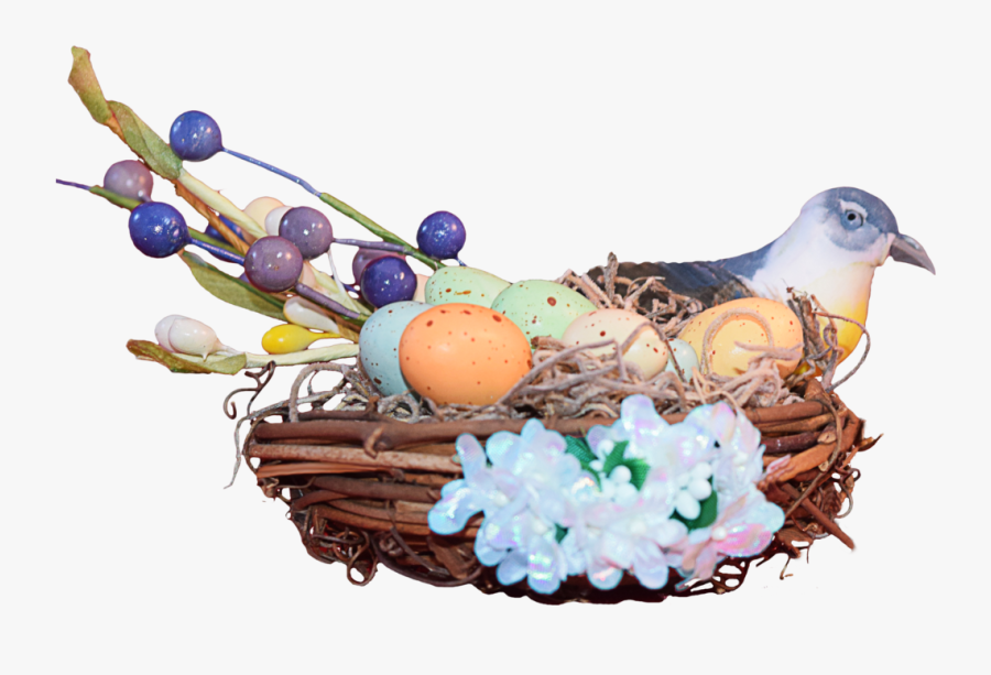 Awesome Nest Png Image With Easter Animals Png - Paloma En Nido Png, Transparent Clipart