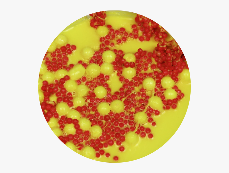 Hard Candy Png - Hard Candy, Transparent Clipart