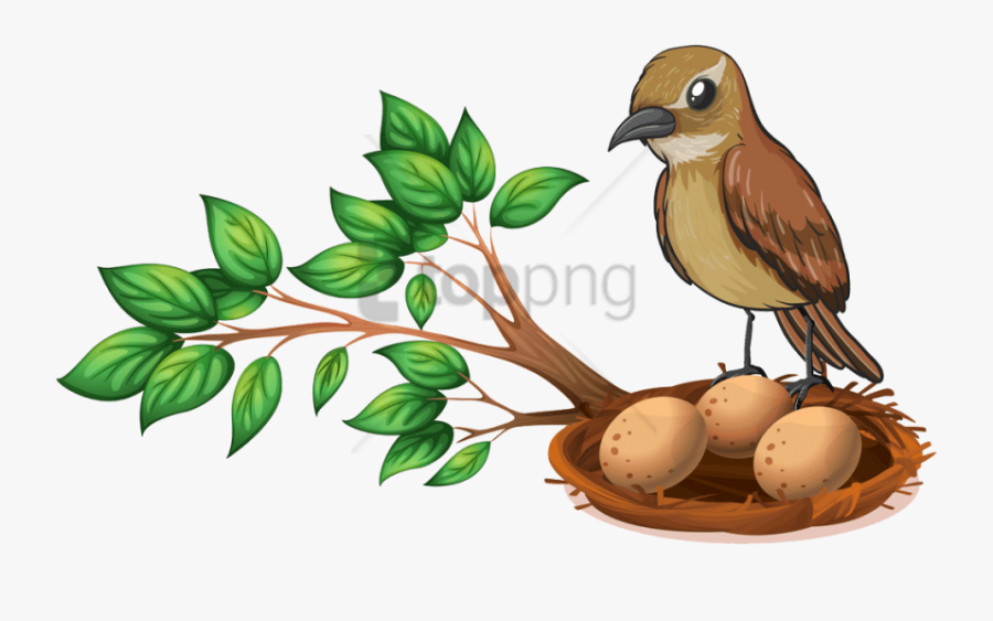 Free Png Download Bird Nest On Tree Png Images Background - Sparrow With Nest Clipart, Transparent Clipart