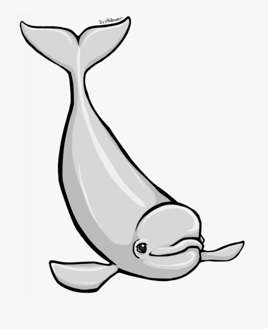 Transparent Cute Whale Png - Beluga Clipart, Transparent Clipart