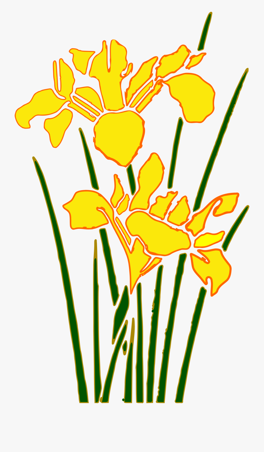 Plant,flora,petal - Bunga Taman Png, Transparent Clipart