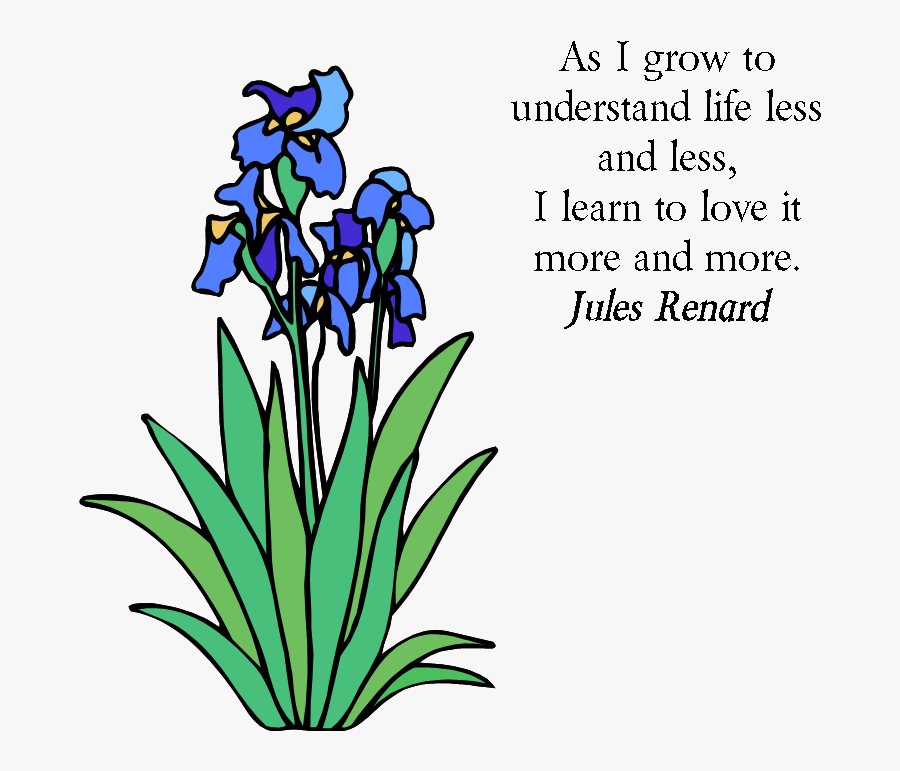 Iris Flower Data Set Clipart , Png Download - Iris Clip Art, Transparent Clipart