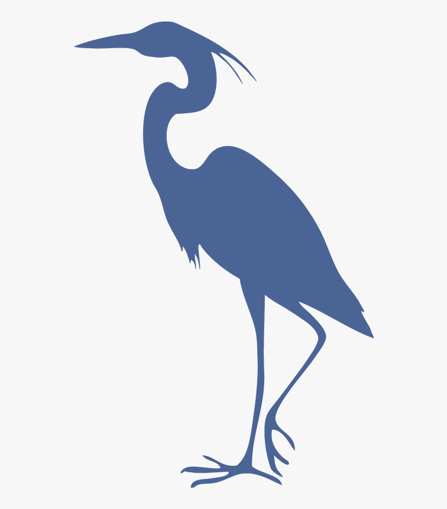 Great Blue Heron Grey Heron Bird Cleaning - Gray Heron Bird Clipart, Transparent Clipart