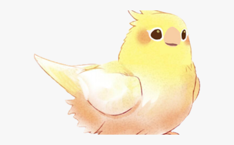 Cockatiel, Transparent Clipart