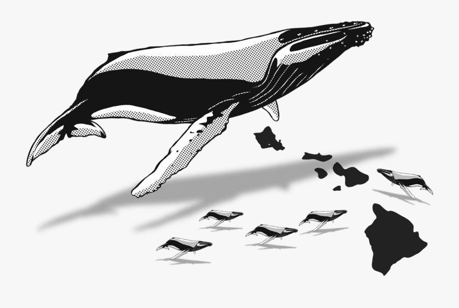 The Whaleplanner 2018 - Hawaii Map Vector, Transparent Clipart
