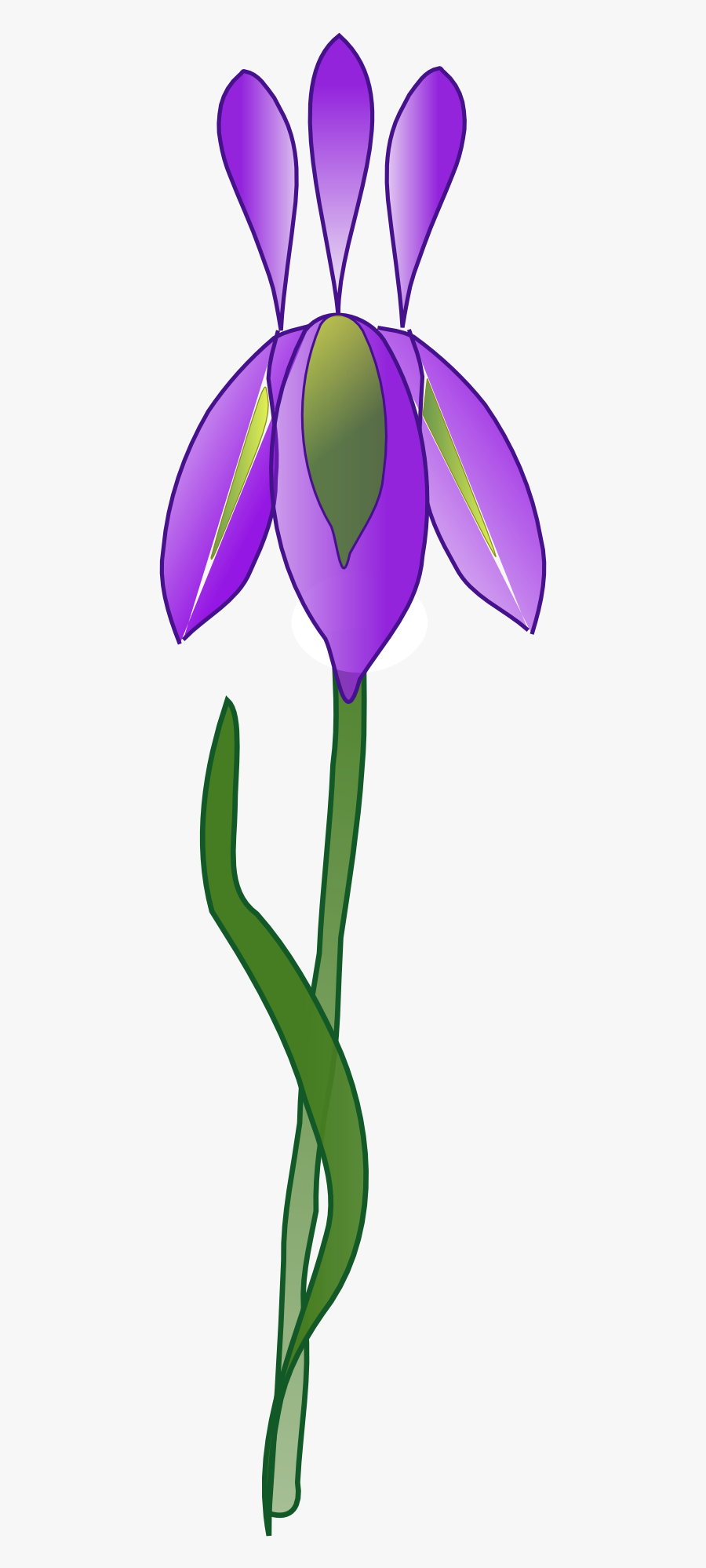 Iris Flower Purple Plant Garden Png Image Iris- - Irises, Transparent Clipart