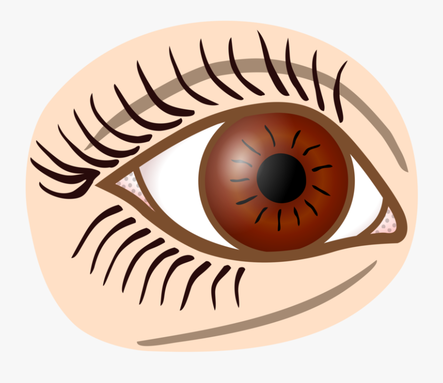 Iris,close Up,eye - Eyes Lineart, Transparent Clipart