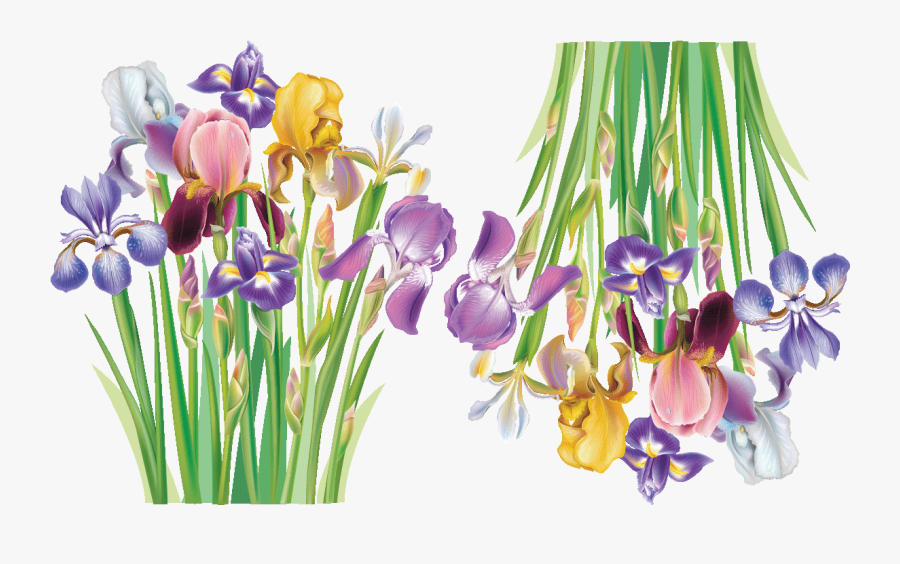 Sticker Fleurs Deux Bouquets D Iris Ambiance Sticker - Tuesday Blessings For Friends, Transparent Clipart