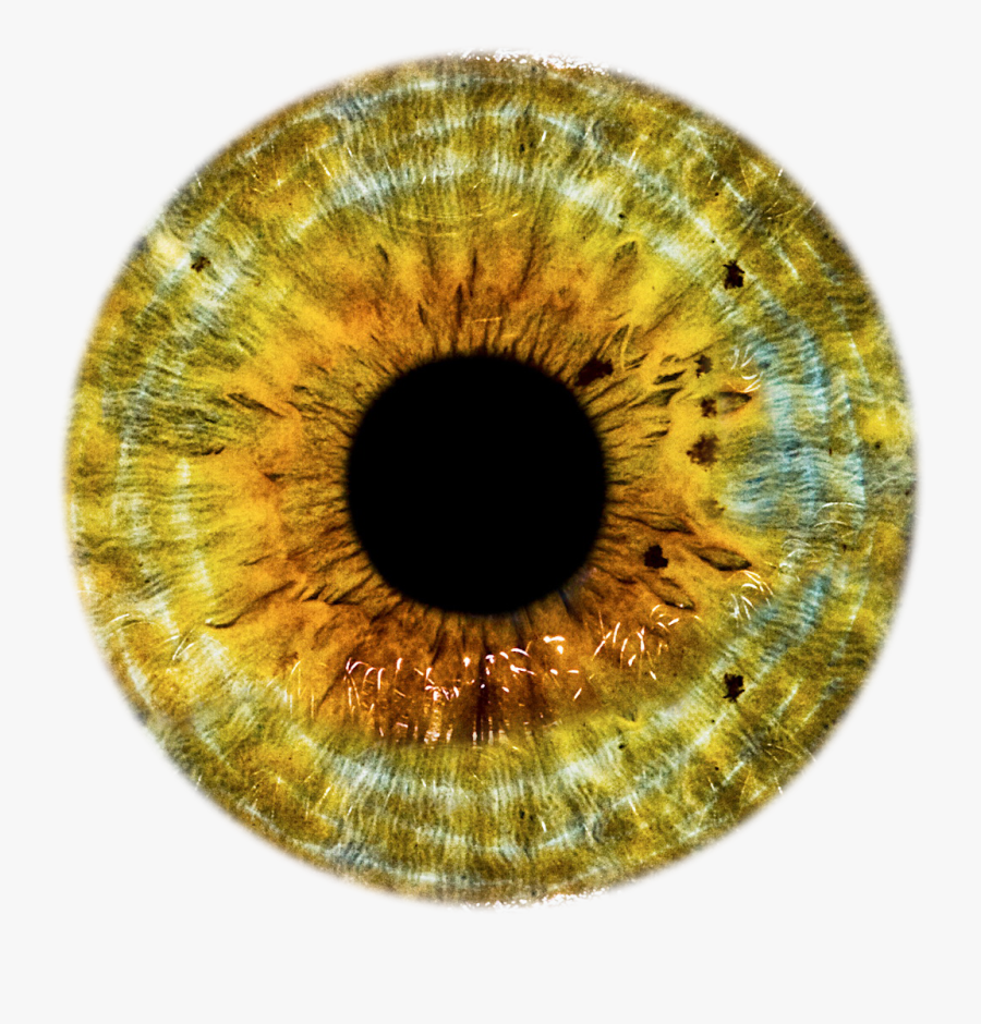 Eye Clip Art Eyes - Grey Eye Lens Png, Transparent Clipart