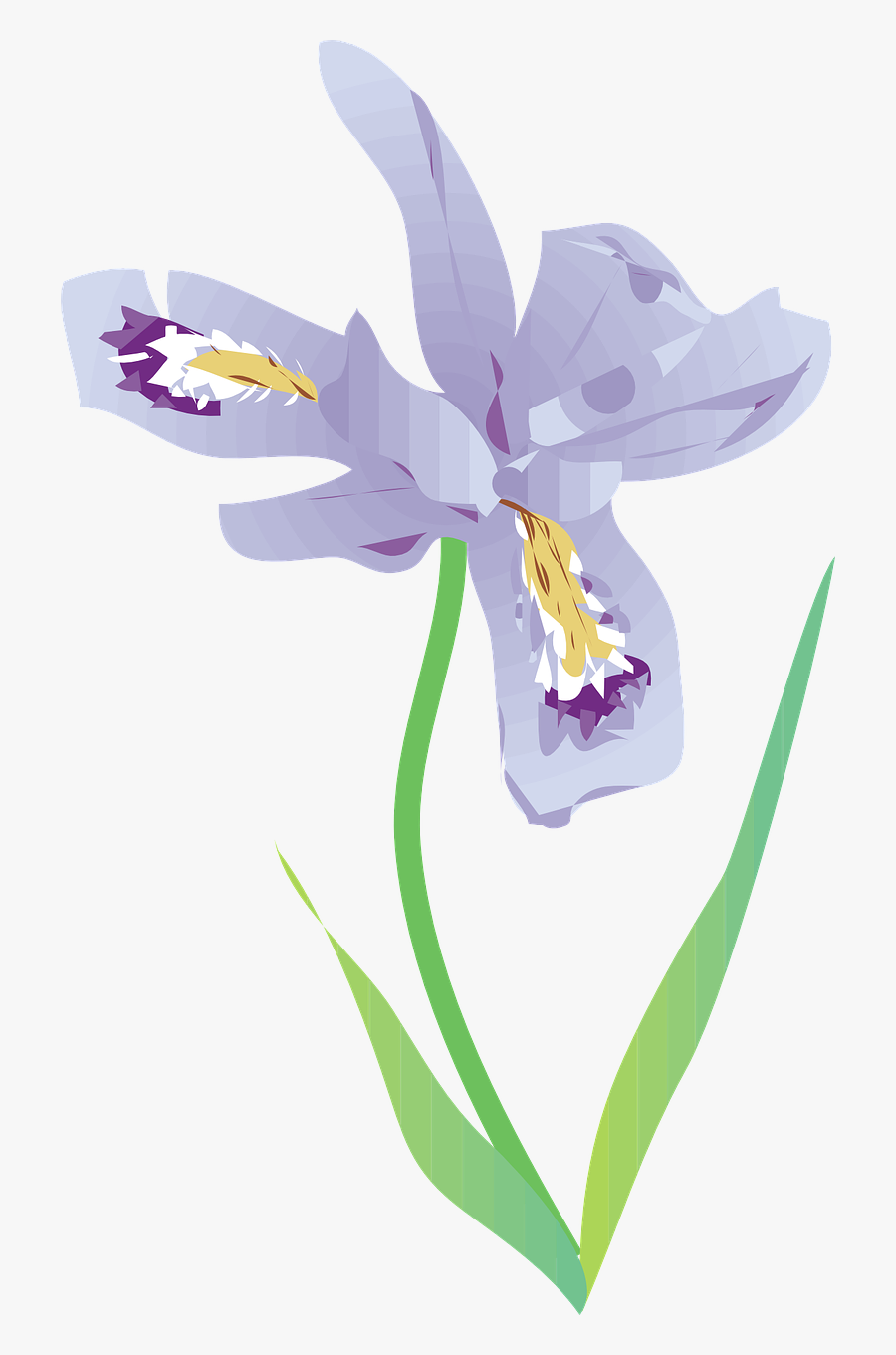 Vector Graphics, Transparent Clipart