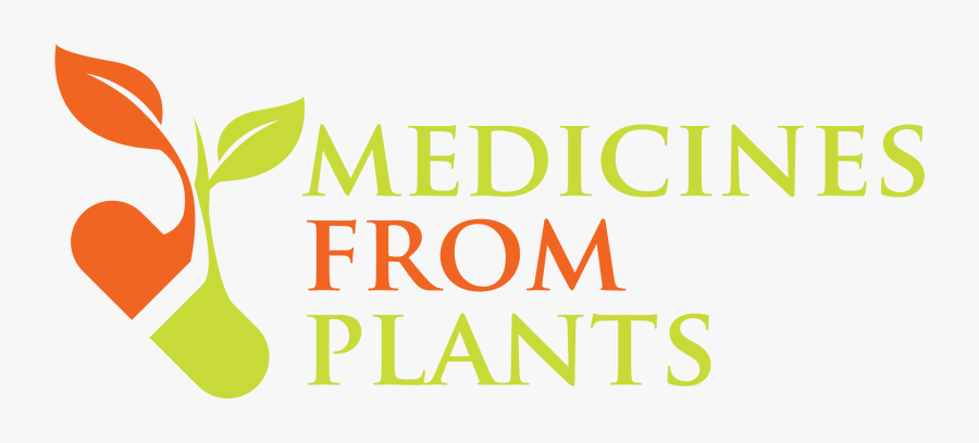 Drugs Clipart Herbal Medicine - Benefits Of Herbal Medicine, Transparent Clipart