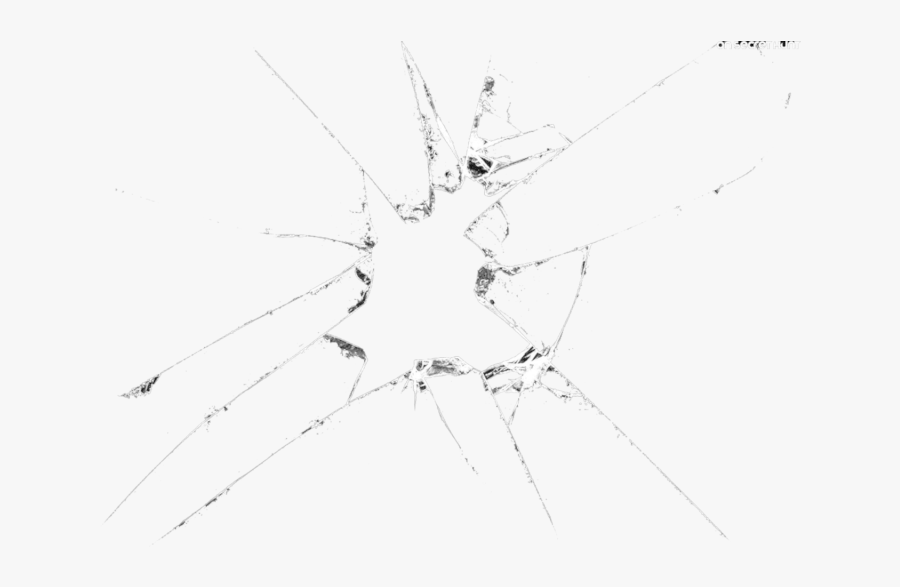 Clipart Cup Cracked - Insect, Transparent Clipart