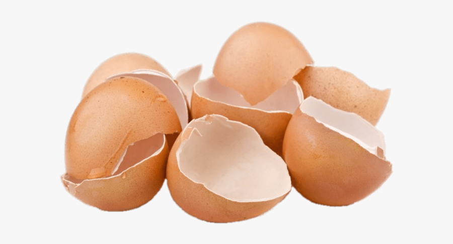 Cracked Egg Png - Egg Shells Png, Transparent Clipart