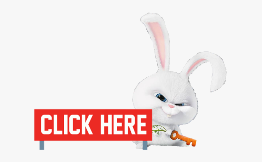 Image - Domestic Rabbit, Transparent Clipart