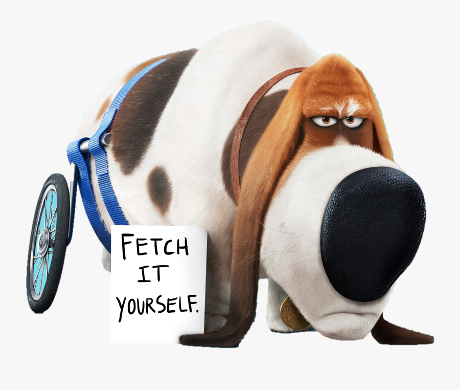 Transparent Secret Clipart - Old Dog From Secret Life Of Pets, Transparent Clipart