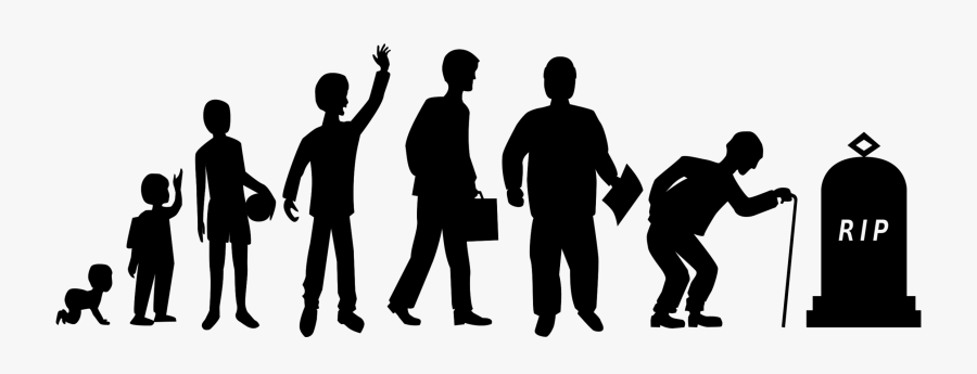 Stages Of Life Png, Transparent Clipart