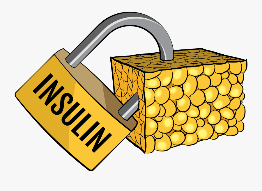 So, If We Are Consuming 2-50 Grams Of Carbs Per Day, Transparent Clipart