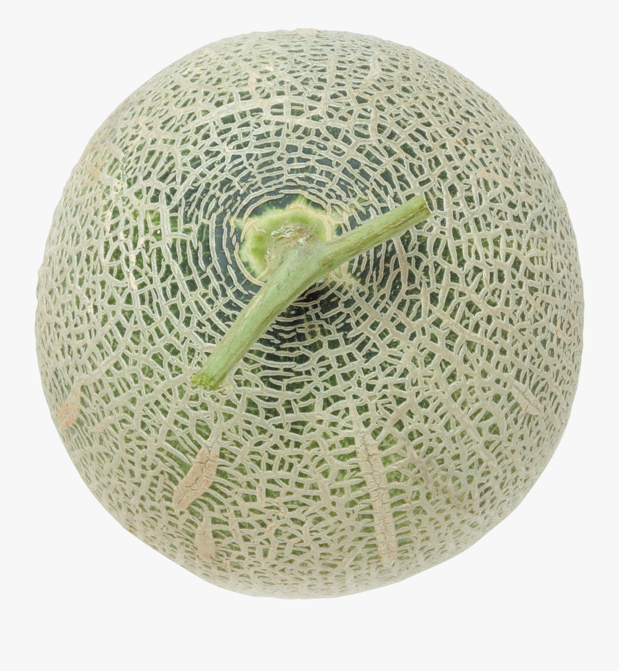Melon Png - Melon, Transparent Clipart