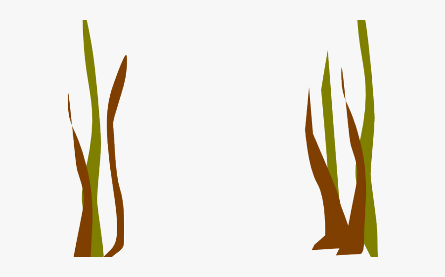 Fish Clipart Seaweed, Transparent Clipart