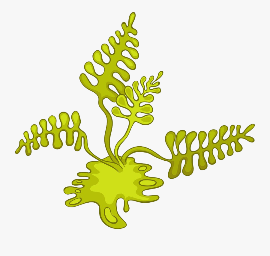 Algae Cartoon Photography Clip - Algae Cartoon, Transparent Clipart