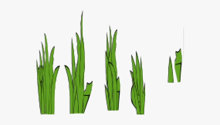Grass Clip Art, Transparent Clipart