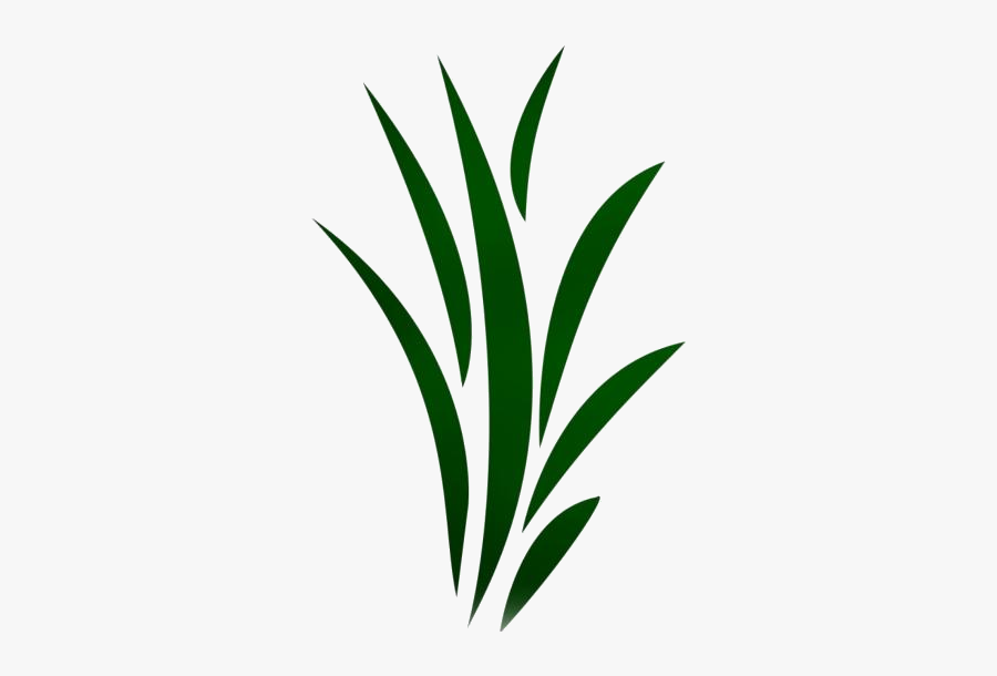 Seaweed Png Transparent Images, Transparent Clipart