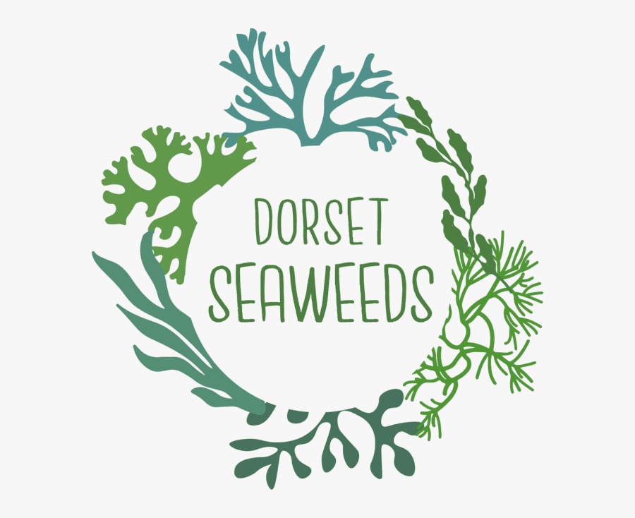 Logo Seaweed, Transparent Clipart