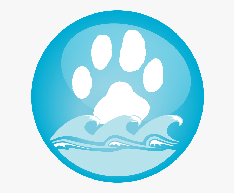 Circle, Transparent Clipart