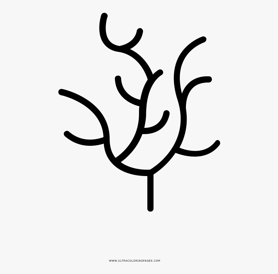 Seaweed Coloring Page, Transparent Clipart