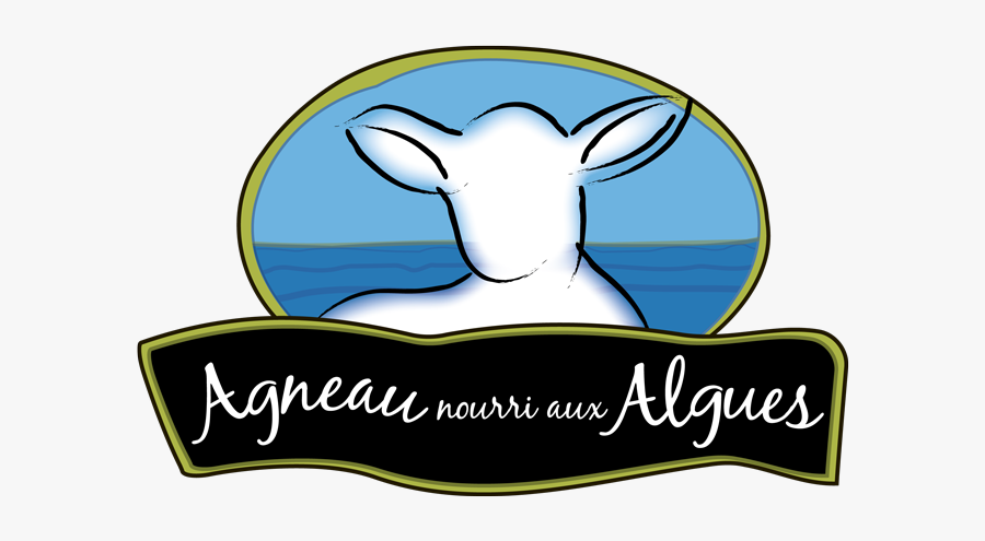 Agneau Nourri Aux Algues, Transparent Clipart