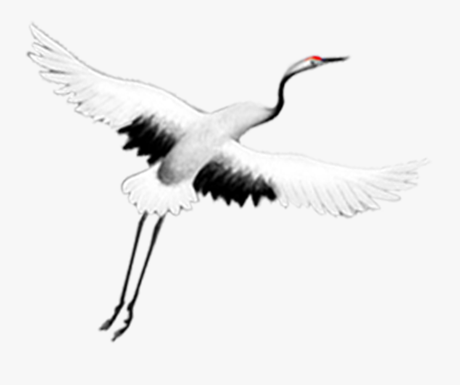 Transparent Crane Hook Png - Trumpeter Swan, Transparent Clipart