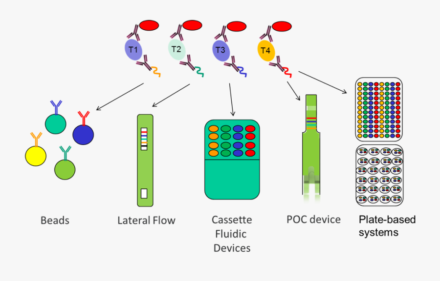 Home Plate Clip Art, Transparent Clipart