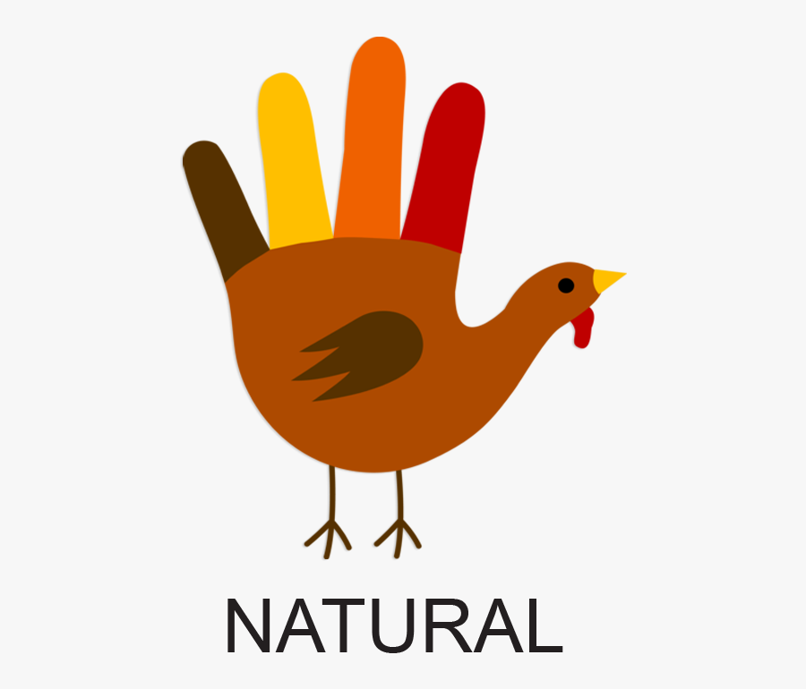 Turkey Buying For The Conscious Consumer - Thanksgiving Transparent Turkey Png, Transparent Clipart