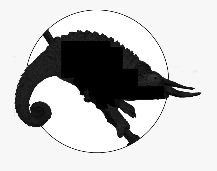 Jackson’s Chameleons - Jackson Chameleon Clipart, Transparent Clipart