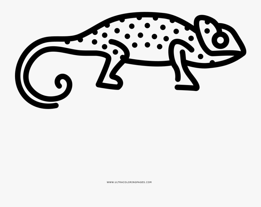 Chameleon Coloring Page - Common Chameleon, Transparent Clipart