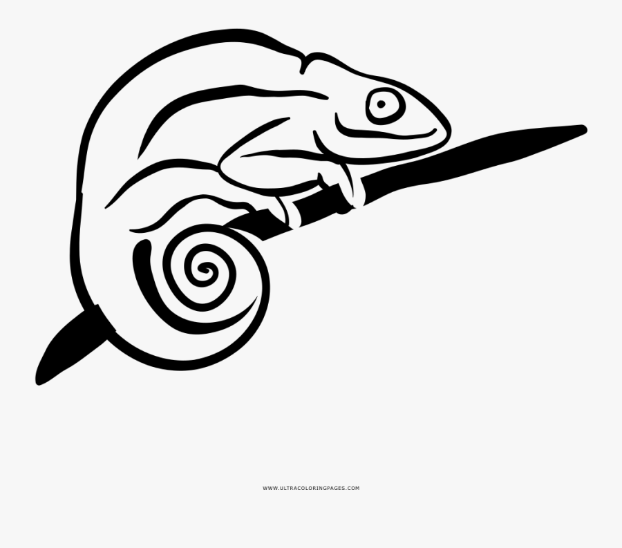 Chameleon Coloring Page - Illustration, Transparent Clipart