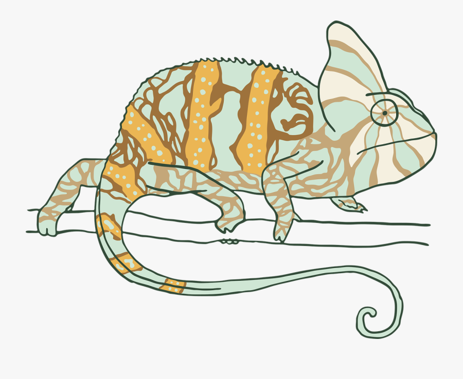 Transparent Background Veiled Chameleon Clipart Transparent, Transparent Clipart