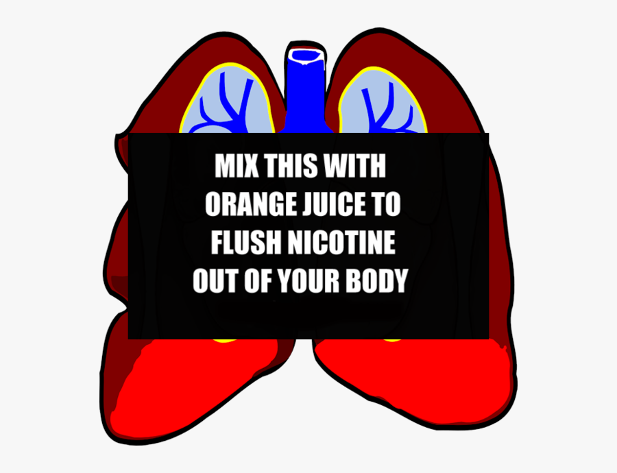Respiratory System Cartoons, Transparent Clipart