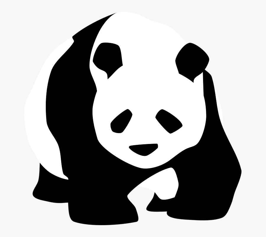 Panda Black And White - Black And White Panda Clipart, Transparent Clipart