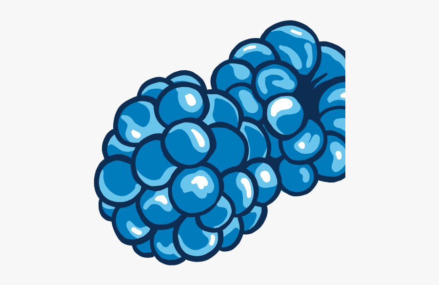 Seedless Fruit, Transparent Clipart