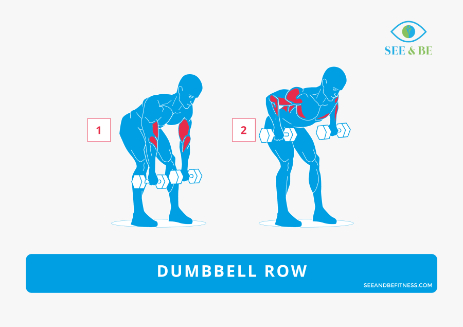 Dumbbell Lateral Lunge Muscles Worked, Transparent Clipart