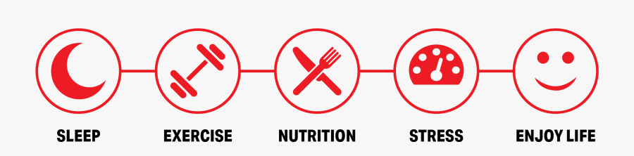 Sleep, Exercise, Nutrition, Stress, Enjoy Life - Sleep Training Nutrition Stress, Transparent Clipart