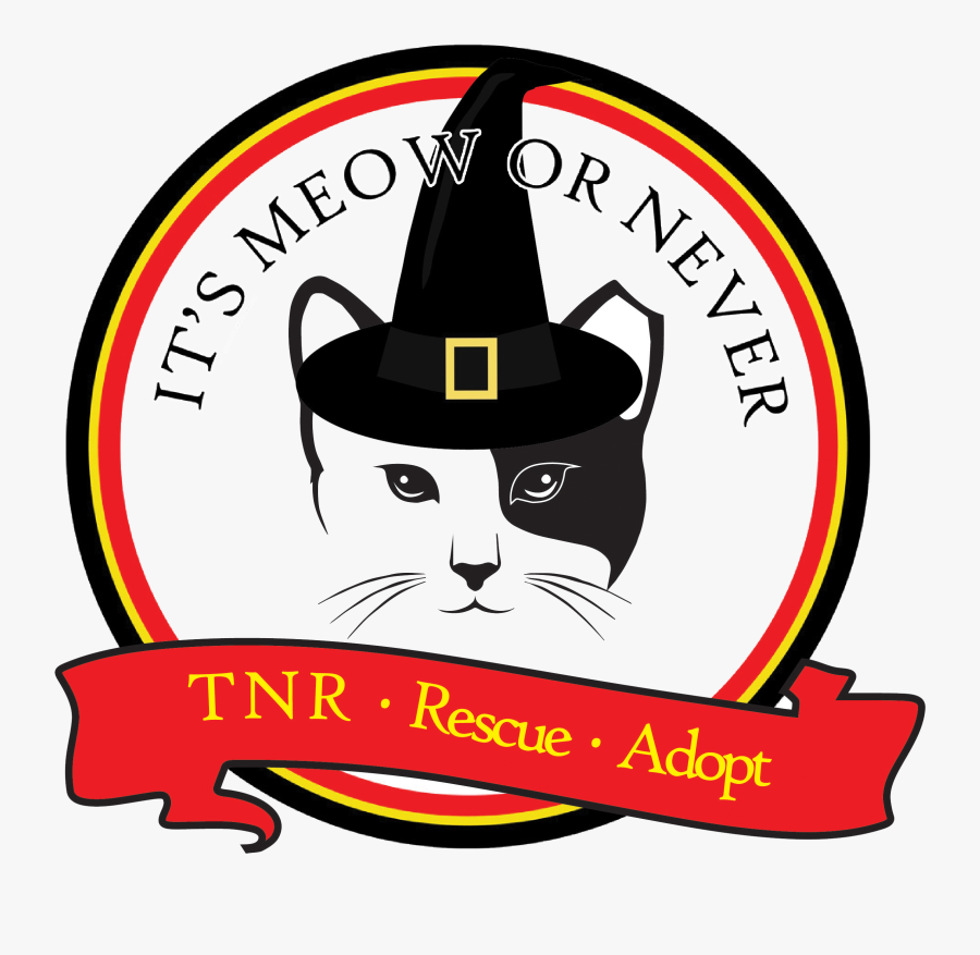 Cat, Transparent Clipart