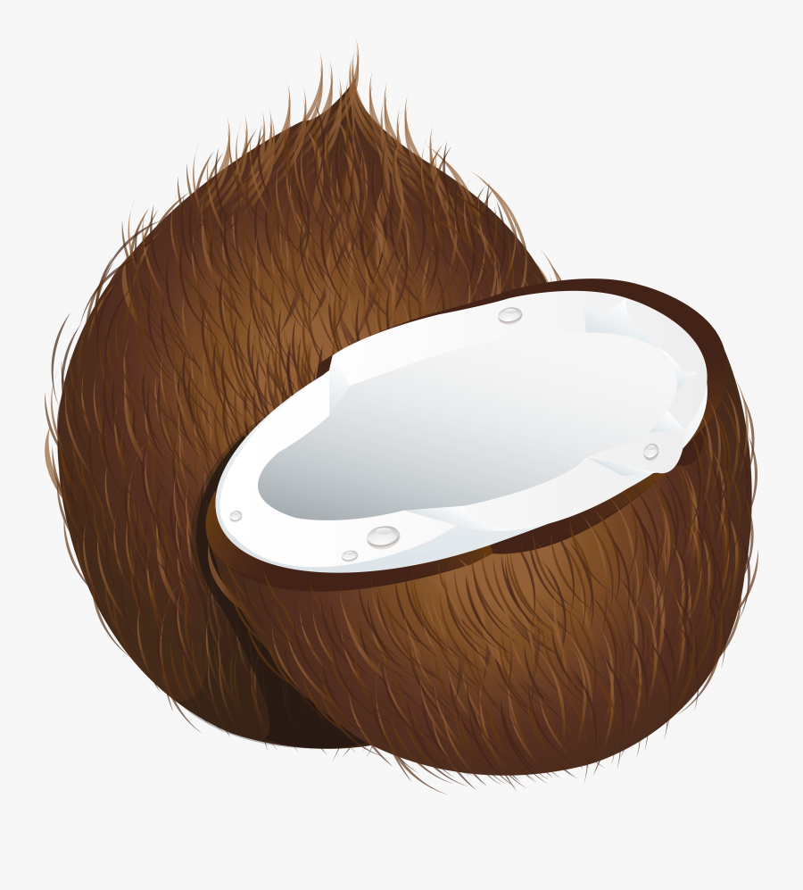 Coconut Png Image Free Download - Coconut Clipart Png, Transparent Clipart
