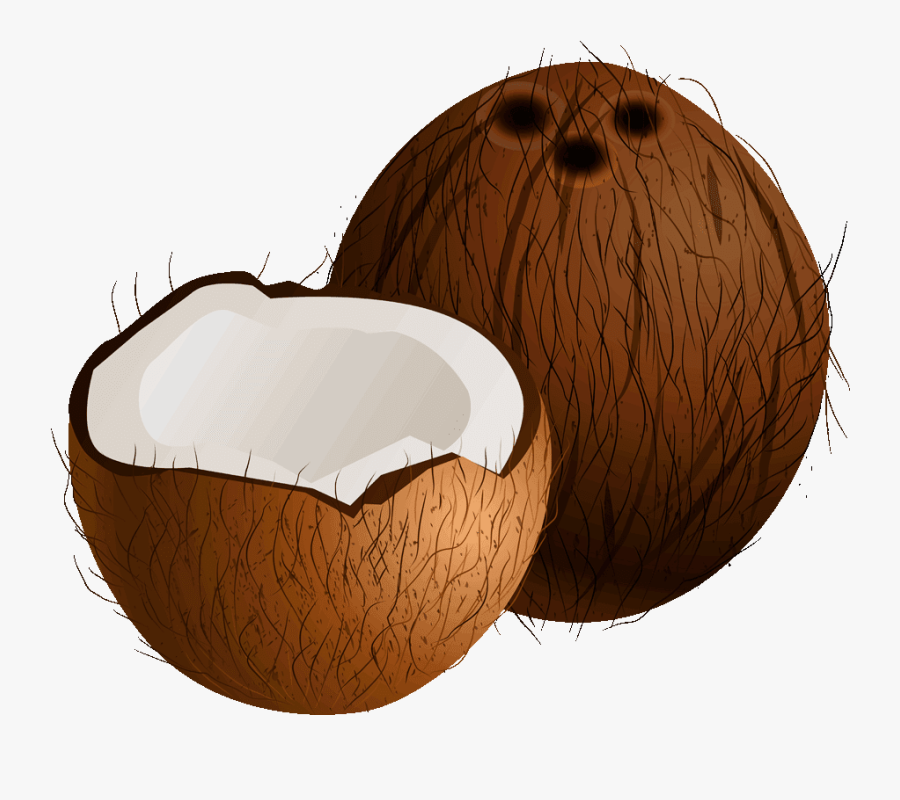 Coconut Png Image - Coconut Clipart, Transparent Clipart