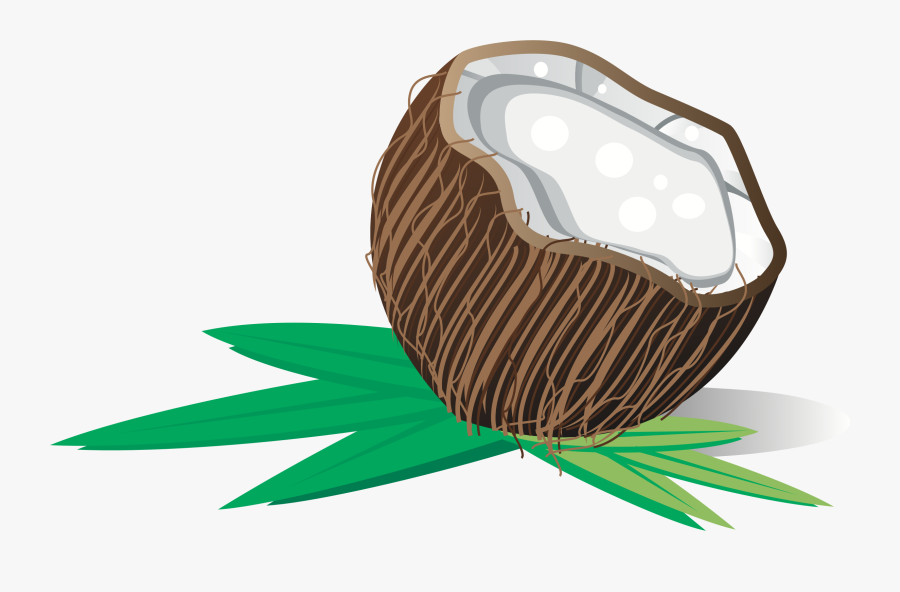 Big Image Png - Clipart Of Coconut, Transparent Clipart