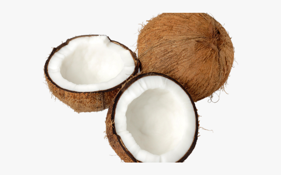 Transparent Background Coconut Png, Transparent Clipart