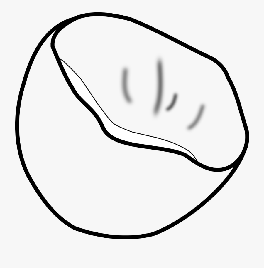 Coconut Black White Line Art 555px - Clip Art, Transparent Clipart